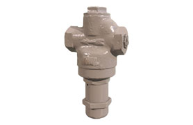 Dublex Check Valve